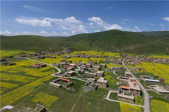 图片2.jpg 图片2.jpg