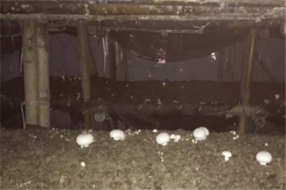 图片1.png 图片1.png