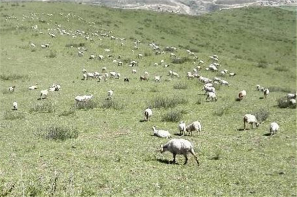 图片3.jpg 图片3.jpg