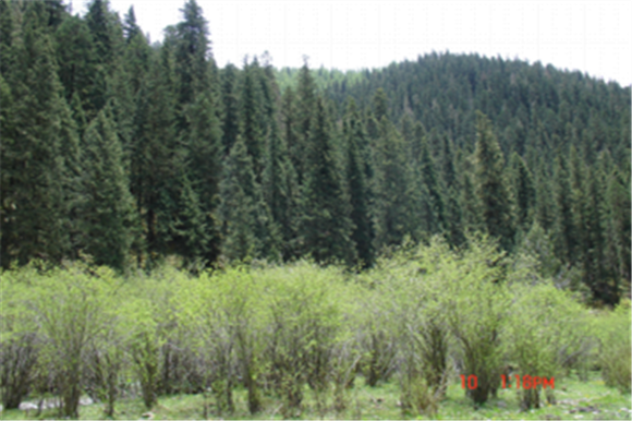 图片9.png 图片9.png